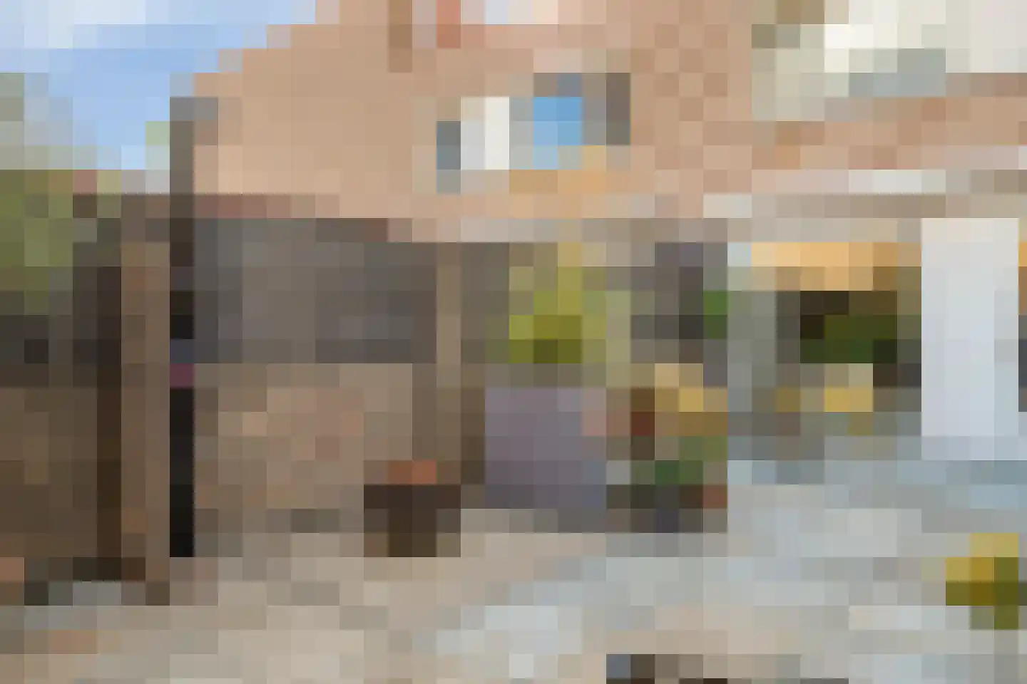 Oegstgeeststraat 55 Tilburg thumbnail 30