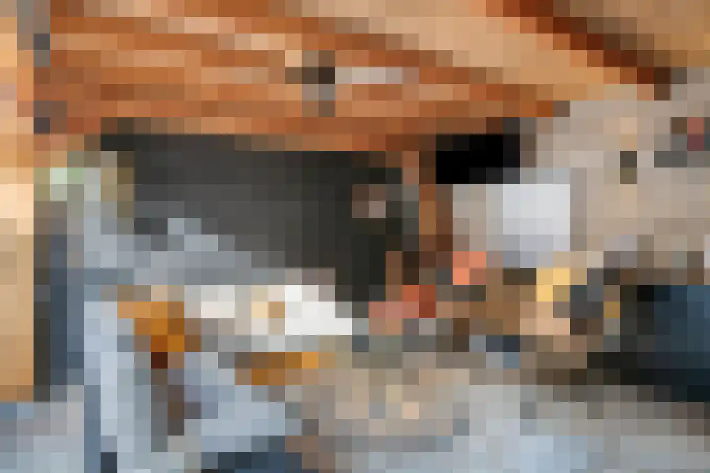 Oegstgeeststraat 55 Tilburg thumbnail 31