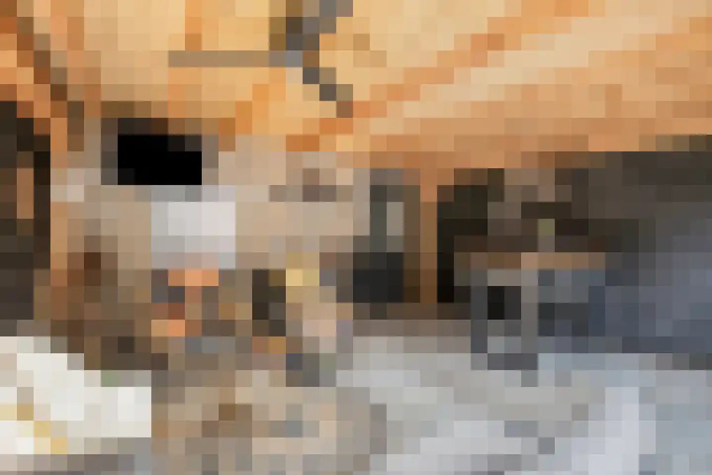 Oegstgeeststraat 55 Tilburg thumbnail 35