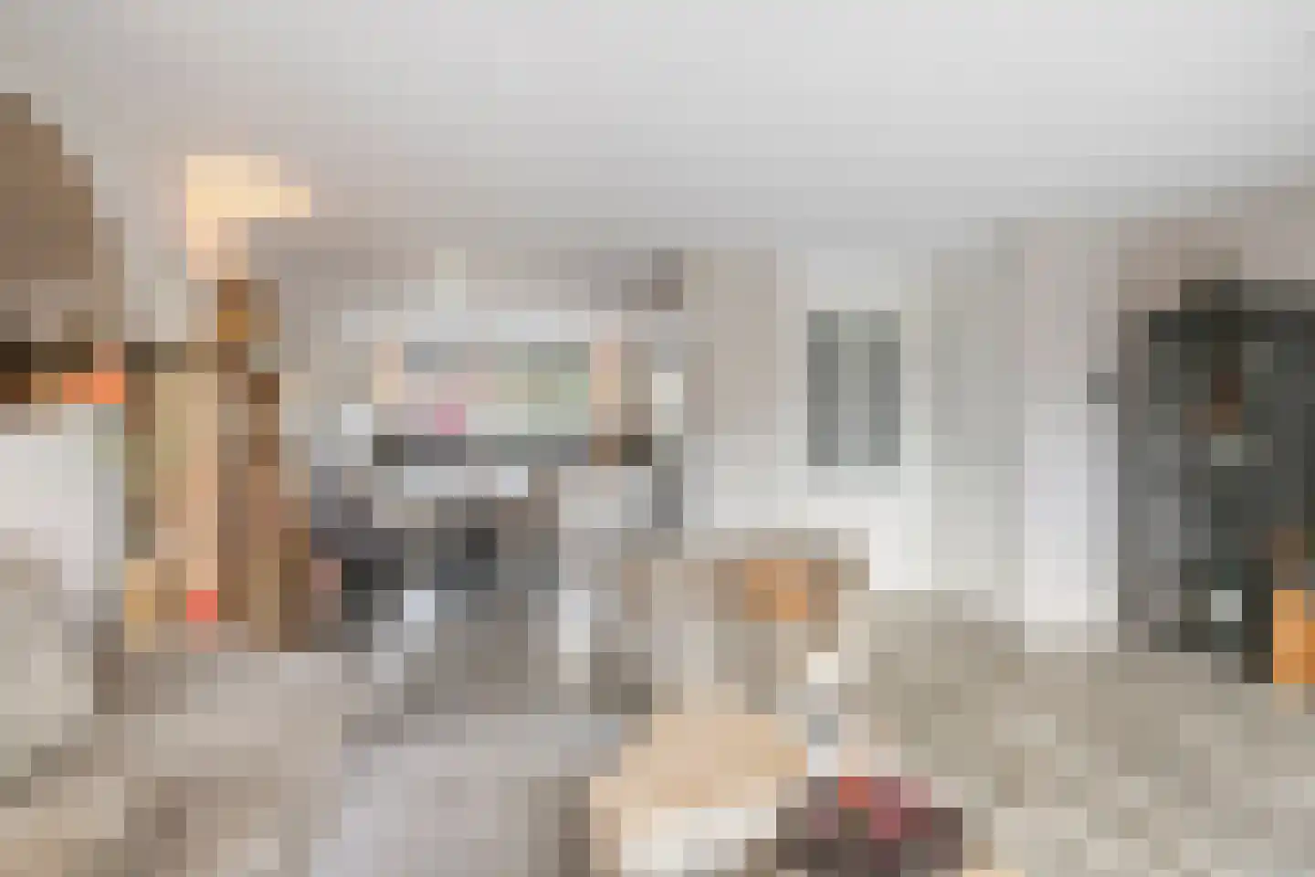 Oegstgeeststraat 55 Tilburg thumbnail 6