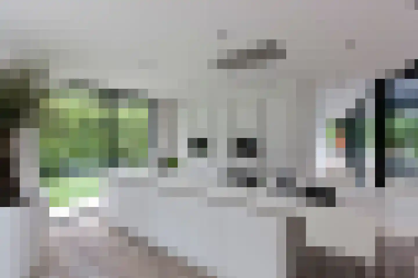 Oekelsbos 57 Rijsbergen thumbnail 31