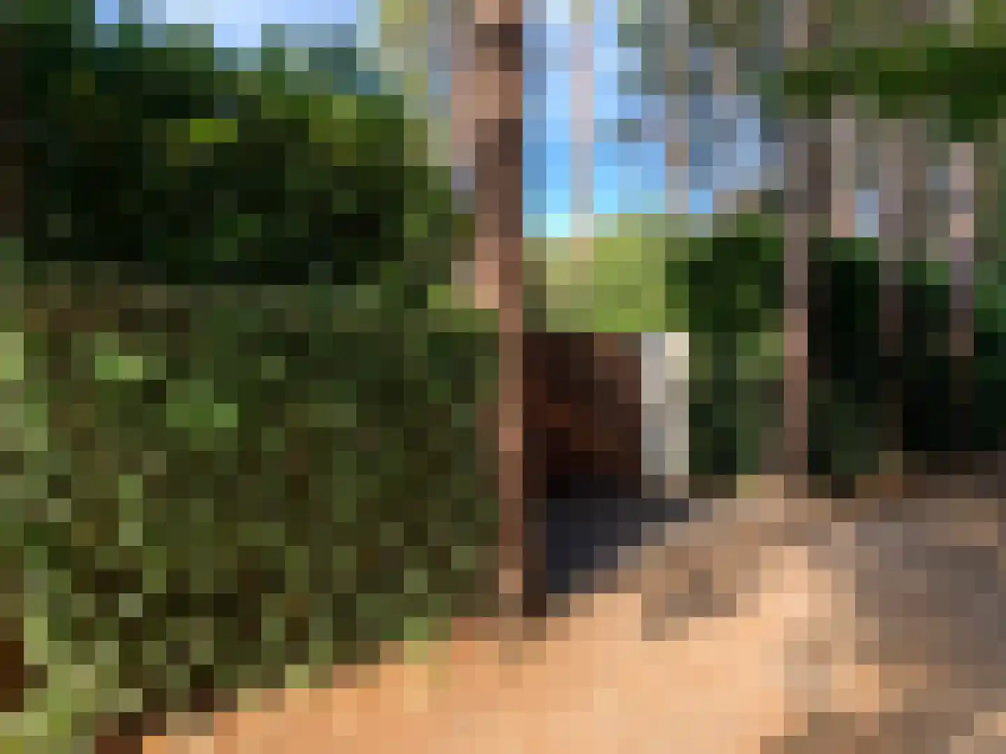 Oekelsbos 57 Rijsbergen thumbnail 4
