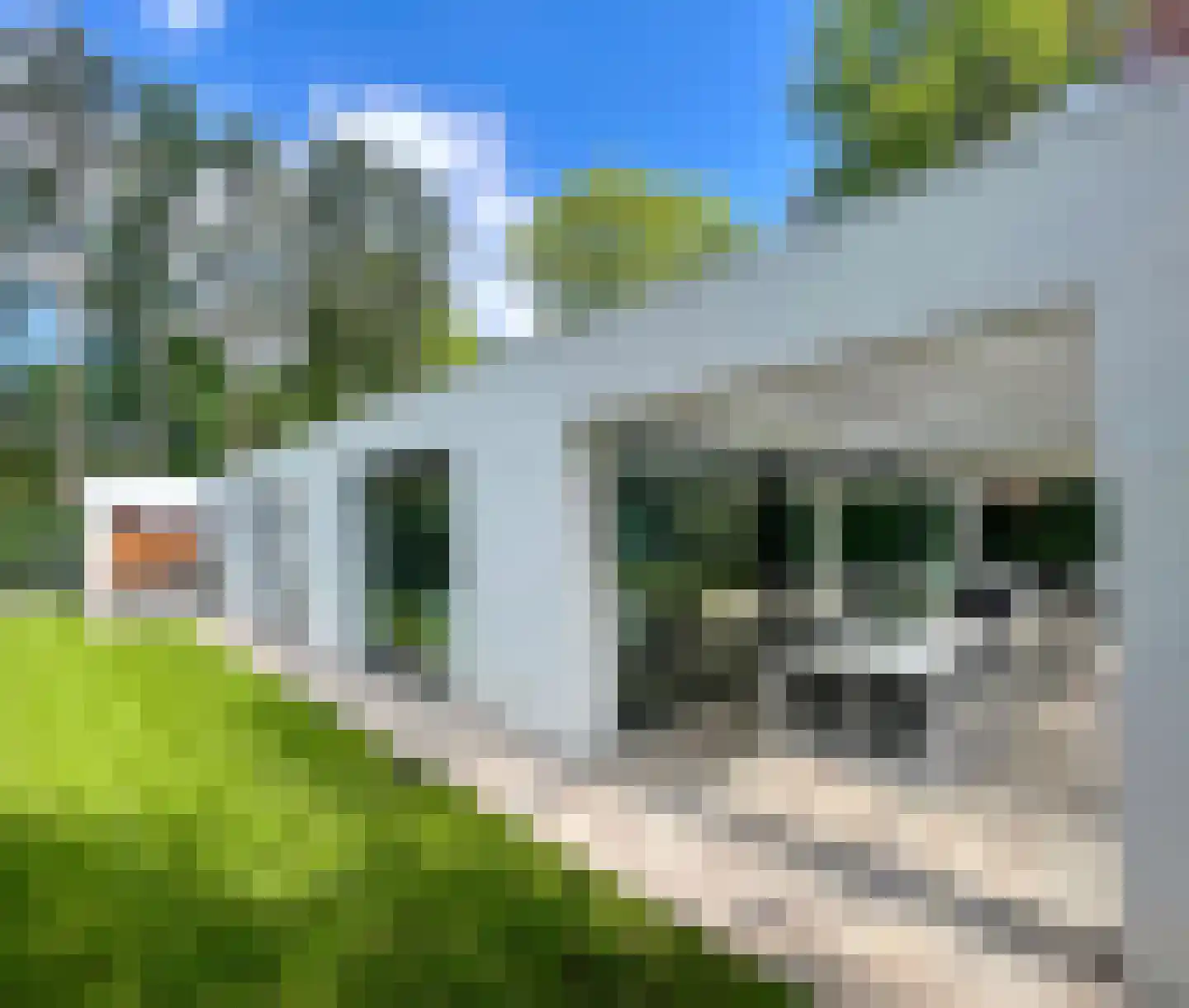 Oekelsbos 57 Rijsbergen thumbnail 42