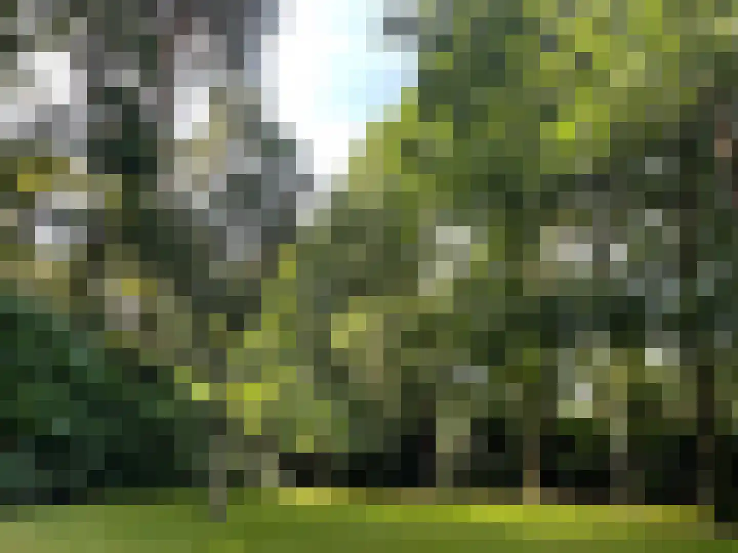 Oekelsbos 57 Rijsbergen thumbnail 44