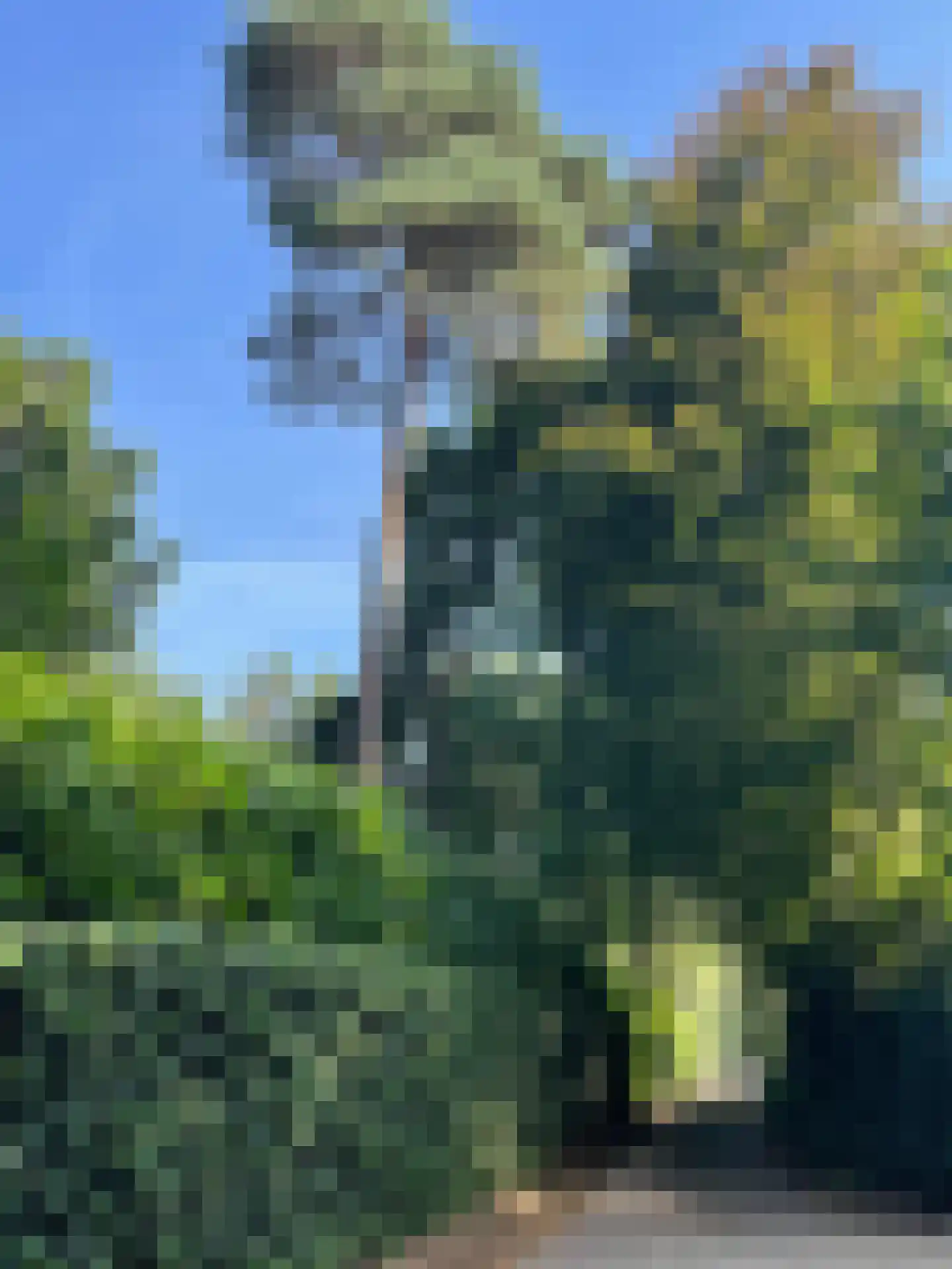 Oekelsbos 57 Rijsbergen thumbnail 46