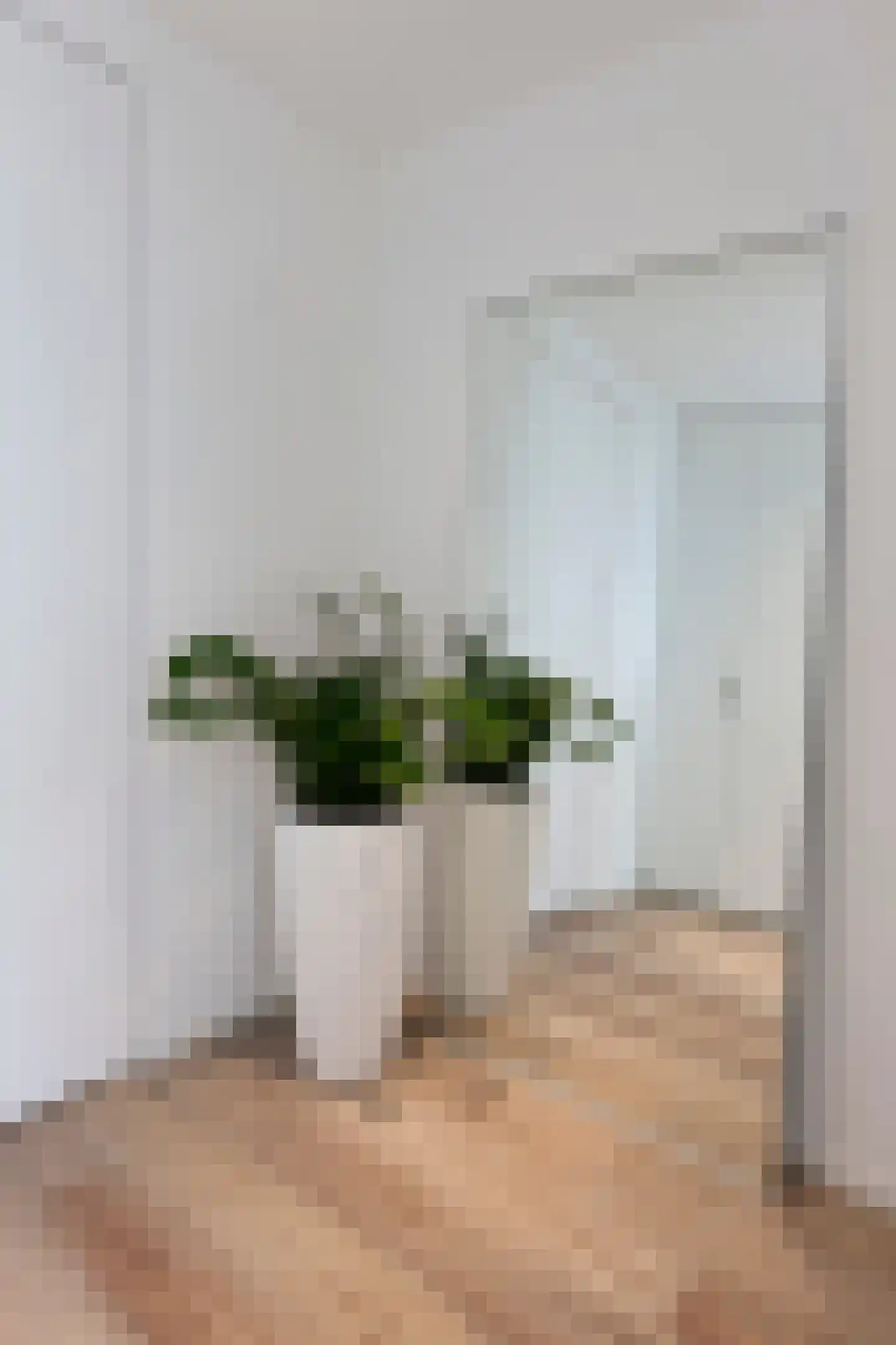 Oekelsbos 57 Rijsbergen thumbnail 8