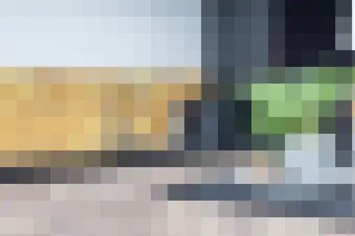 Oekelsbos 8 Rijsbergen thumbnail 11