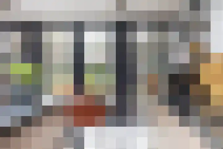 Oekelsbos 8 Rijsbergen thumbnail 12