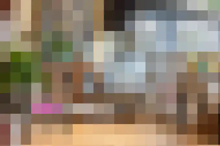 Oekelsbos 8 Rijsbergen thumbnail 13