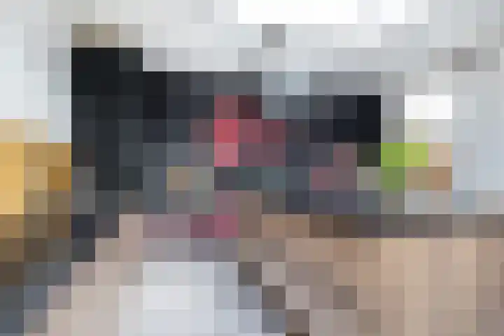 Oekelsbos 8 Rijsbergen thumbnail 15