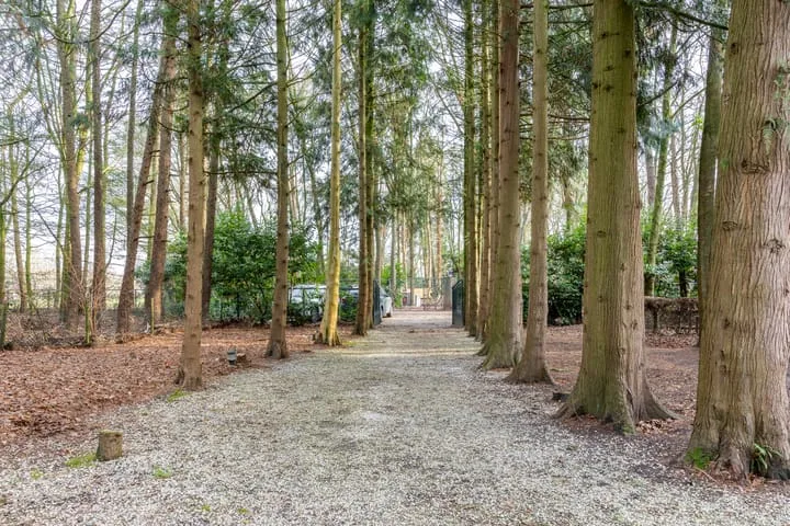 Oekelsbos 8 Rijsbergen thumbnail 28