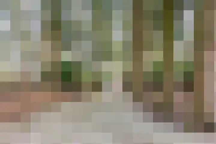 Oekelsbos 8 Rijsbergen thumbnail 28