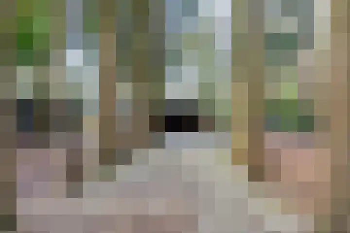 Oekelsbos 8 Rijsbergen thumbnail 29