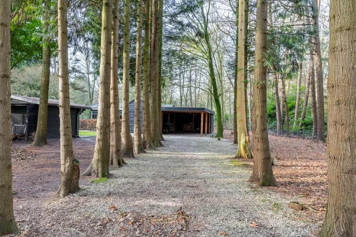 Oekelsbos 8 Rijsbergen thumbnail 29