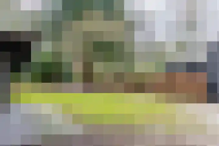 Oekelsbos 8 Rijsbergen thumbnail 30