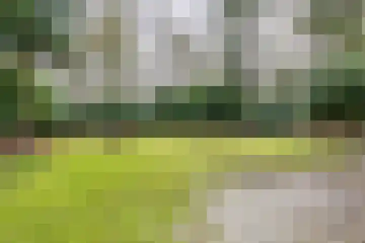 Oekelsbos 8 Rijsbergen thumbnail 31