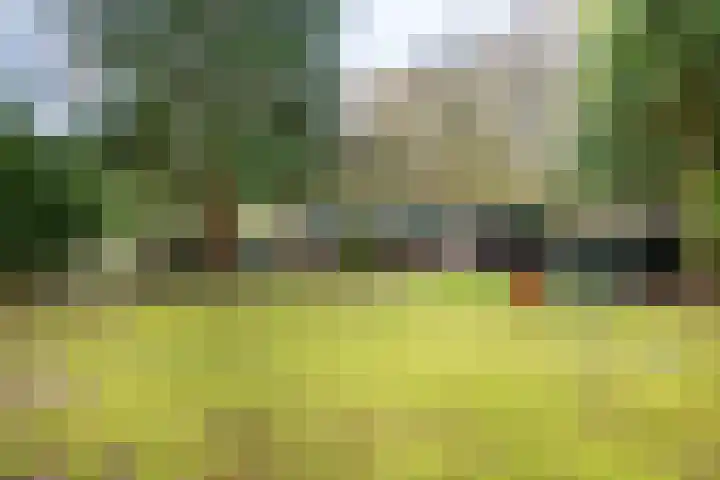 Oekelsbos 8 Rijsbergen thumbnail 32