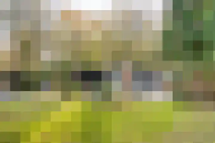 Oekelsbos 8 Rijsbergen thumbnail 33