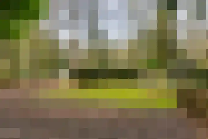 Oekelsbos 8 Rijsbergen thumbnail 34