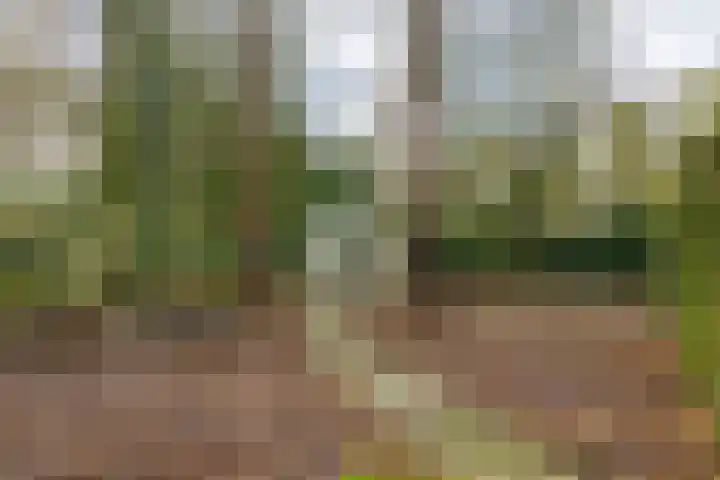 Oekelsbos 8 Rijsbergen thumbnail 37