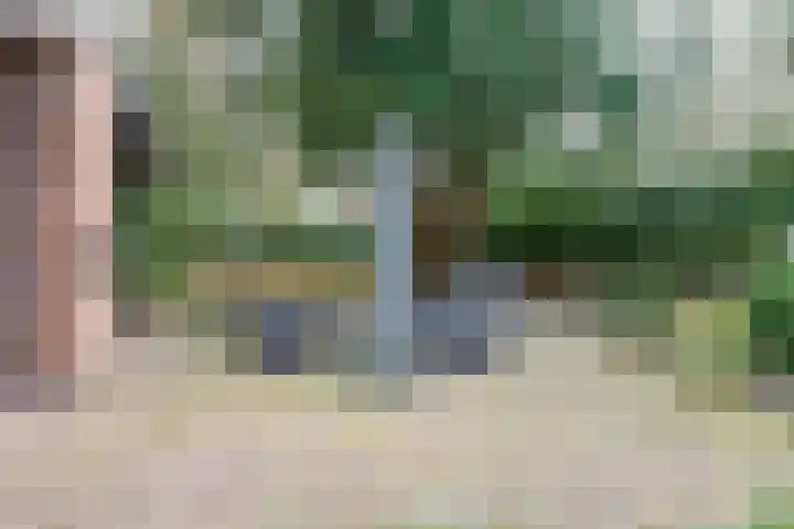 Oekelsbos 8 Rijsbergen thumbnail 39