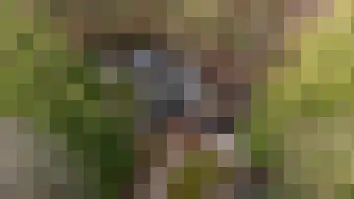 Oekelsbos 8 Rijsbergen thumbnail 41