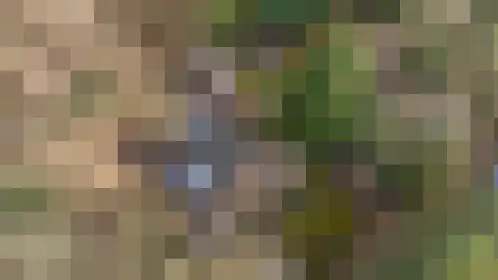 Oekelsbos 8 Rijsbergen thumbnail 42