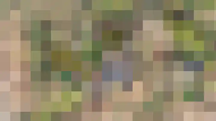 Oekelsbos 8 Rijsbergen thumbnail 43