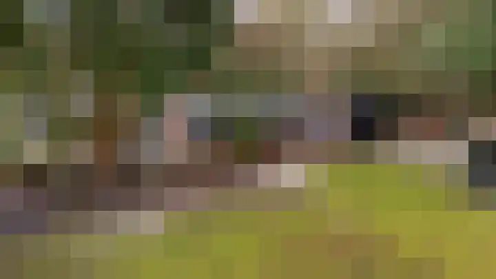 Oekelsbos 8 Rijsbergen thumbnail 6