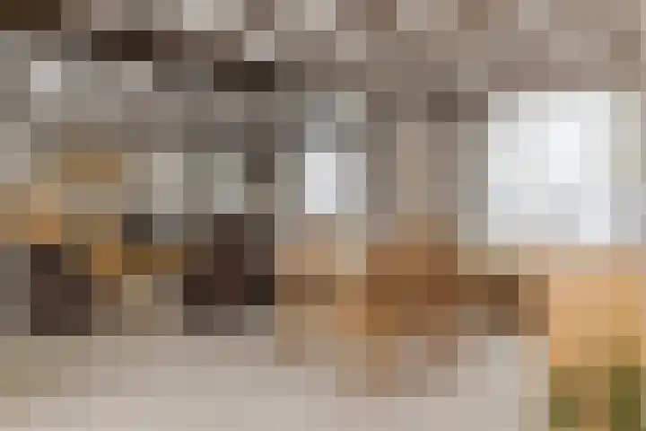 Oekelsebaan 57 Zundert thumbnail 10