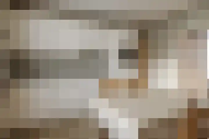 Oekelsebaan 57 Zundert thumbnail 13
