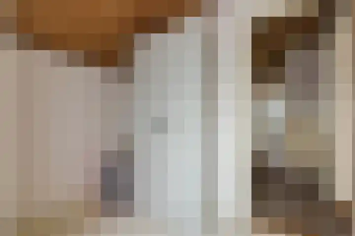 Oekelsebaan 57 Zundert thumbnail 28