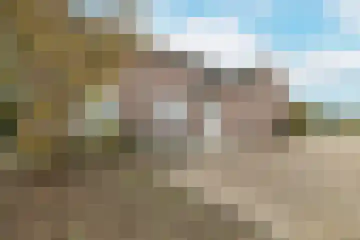 Oekelsebaan 57 Zundert thumbnail 39