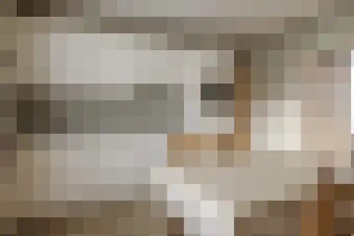 Oekelsebaan 57 Zundert thumbnail 4