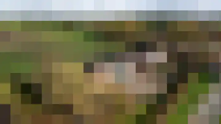 Oekelsebaan 57 Zundert thumbnail 47