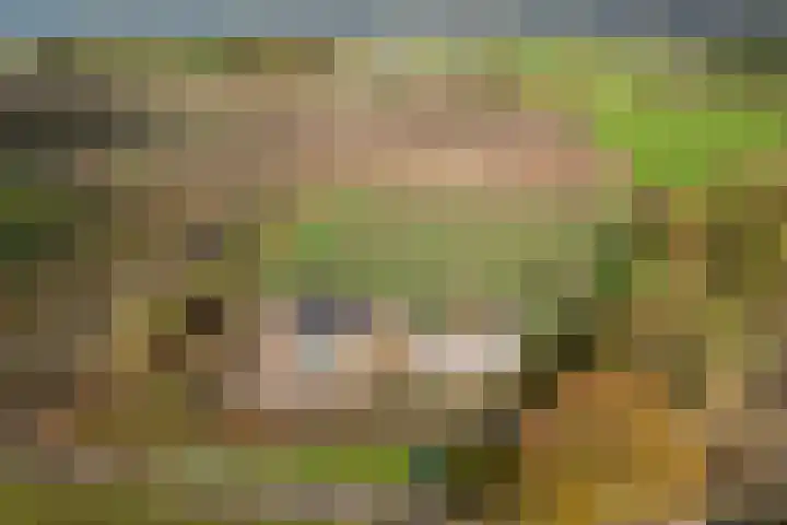 Oekelsebaan 57 Zundert thumbnail 48