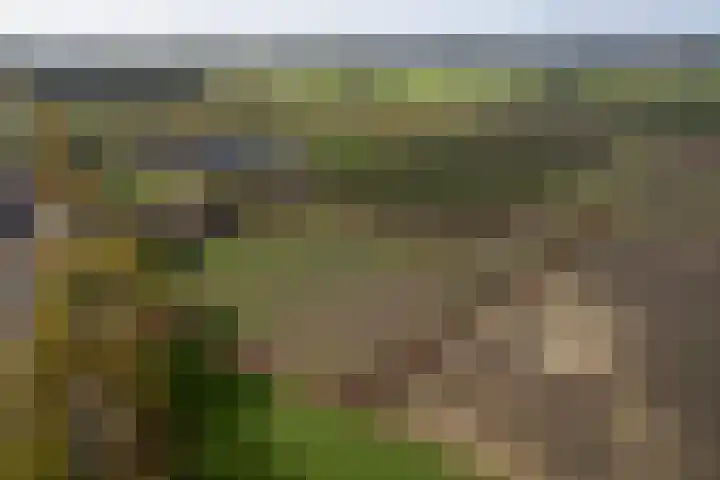 Oekelsebaan 57 Zundert thumbnail 49