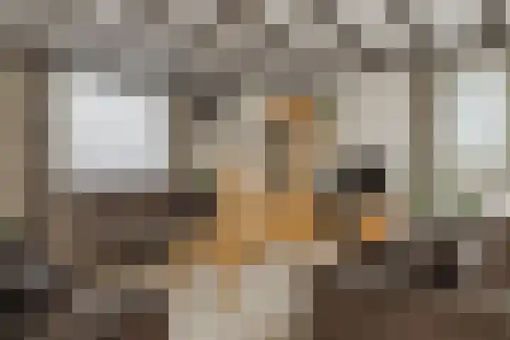 Oekelsebaan 57 Zundert thumbnail 8