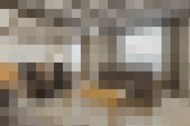 Oekelsebaan 57 Zundert thumbnail 9