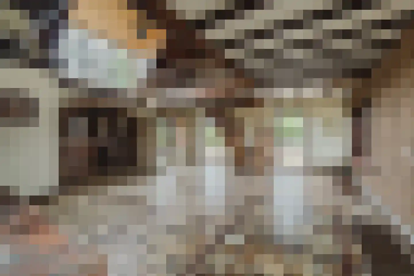 Oekelseheidestraat 3 Rijsbergen thumbnail 10