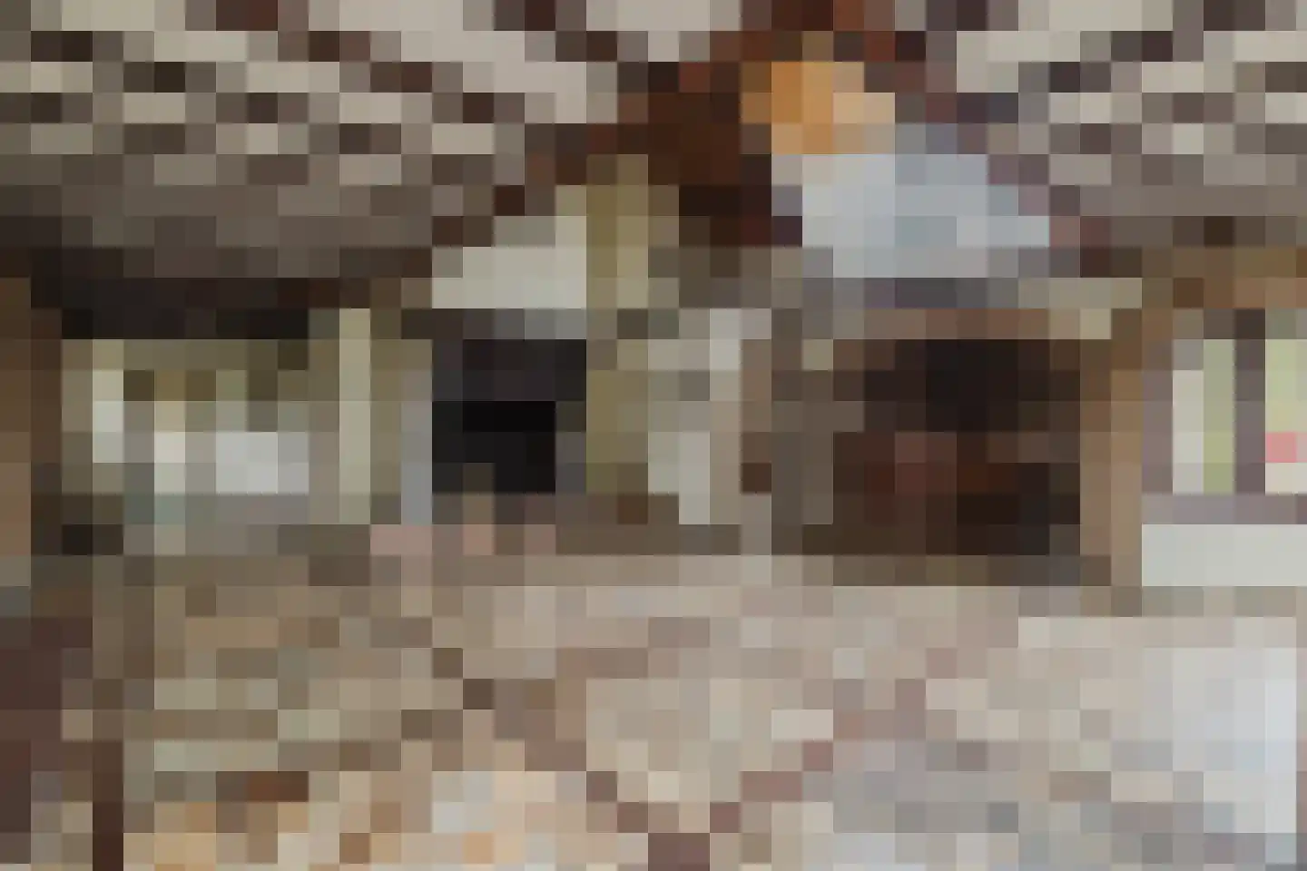 Oekelseheidestraat 3 Rijsbergen thumbnail 11