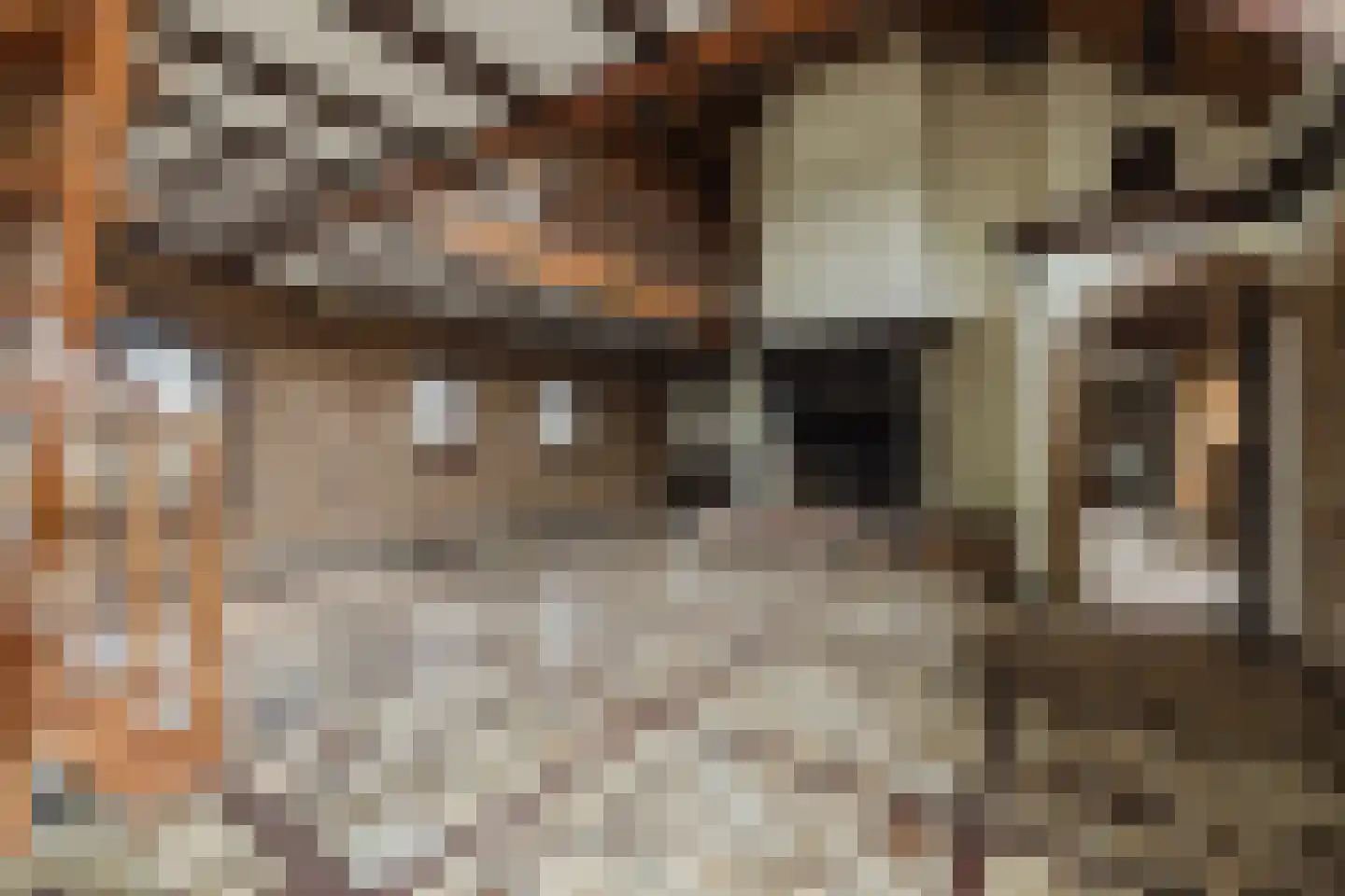 Oekelseheidestraat 3 Rijsbergen thumbnail 13