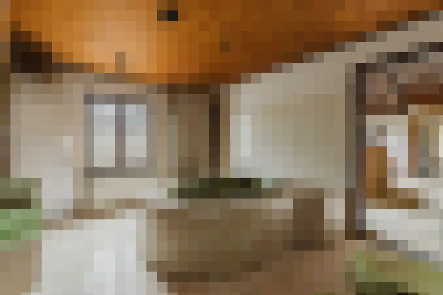 Oekelseheidestraat 3 Rijsbergen thumbnail 19