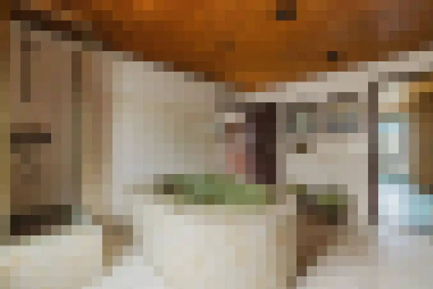 Oekelseheidestraat 3 Rijsbergen thumbnail 21