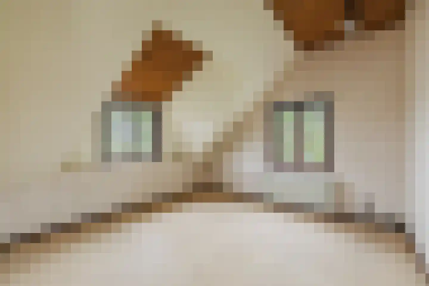 Oekelseheidestraat 3 Rijsbergen thumbnail 30