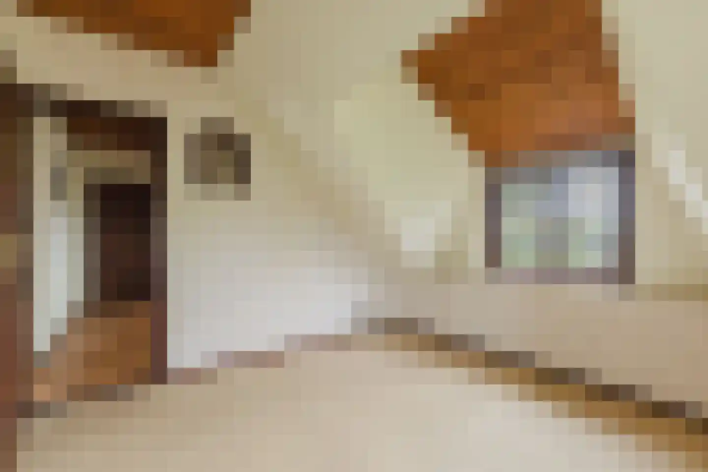 Oekelseheidestraat 3 Rijsbergen thumbnail 31