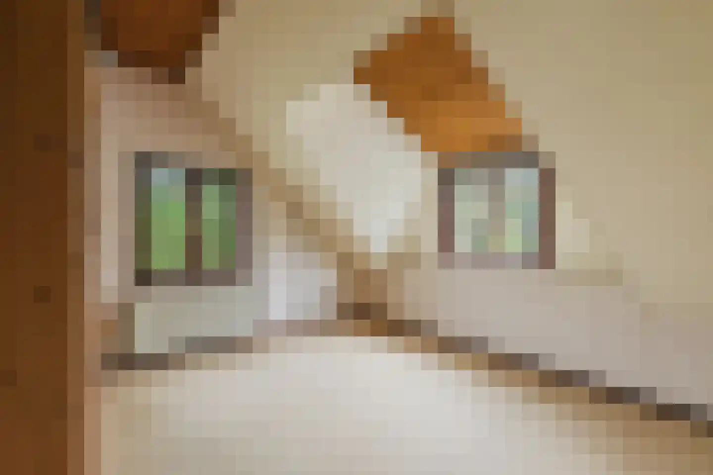 Oekelseheidestraat 3 Rijsbergen thumbnail 32