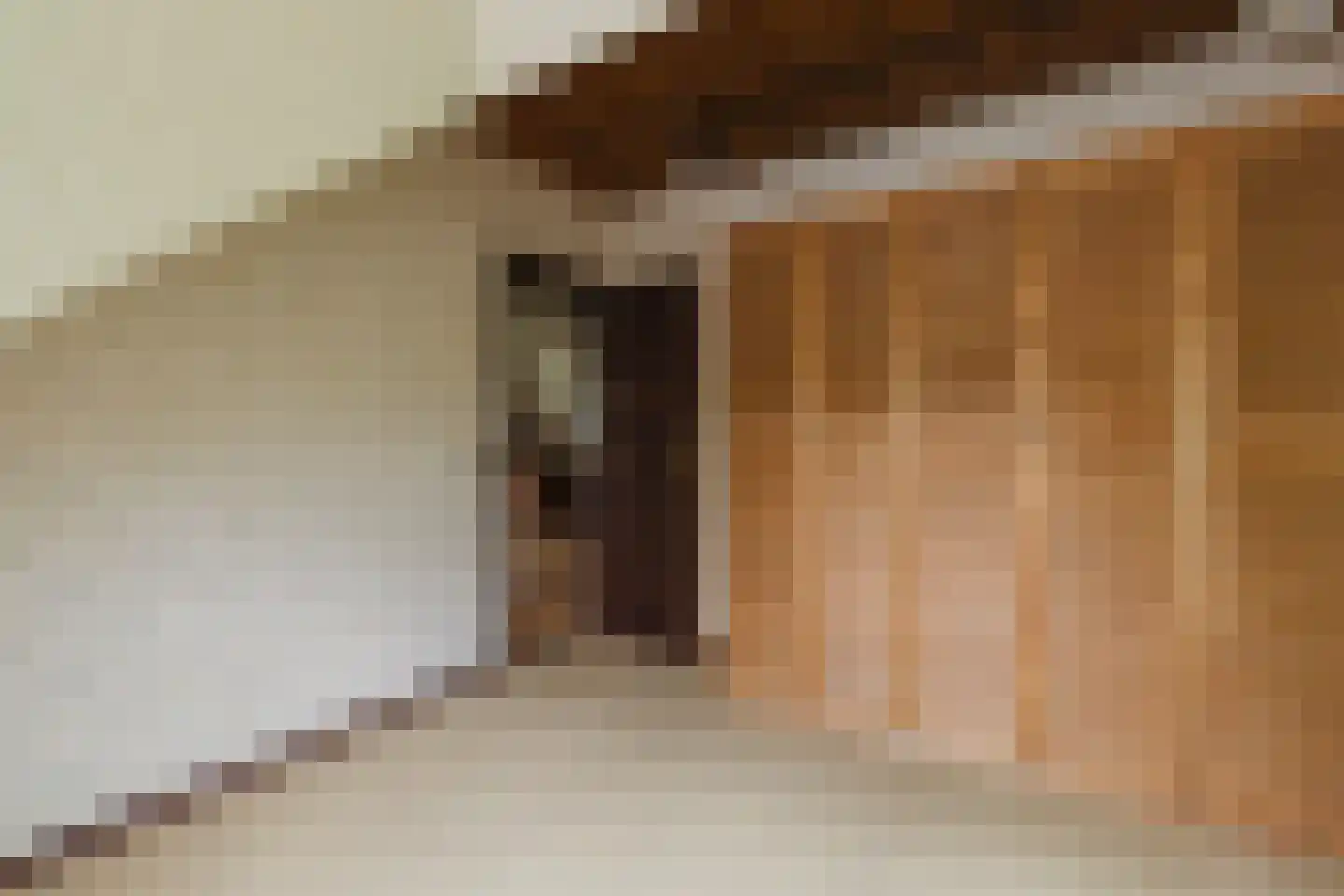 Oekelseheidestraat 3 Rijsbergen thumbnail 33