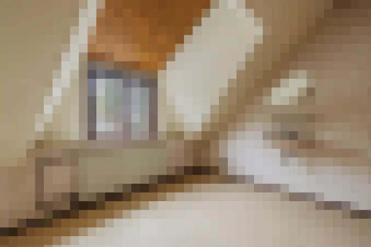 Oekelseheidestraat 3 Rijsbergen thumbnail 34