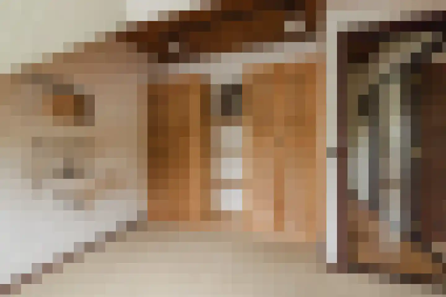 Oekelseheidestraat 3 Rijsbergen thumbnail 35